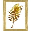Cornice da muro Elegant Oro 50x70 cm