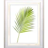 Cornice da muro Randu bianco 30x40 cm