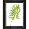 Cornice da muro Randu Nero 50x70 cm