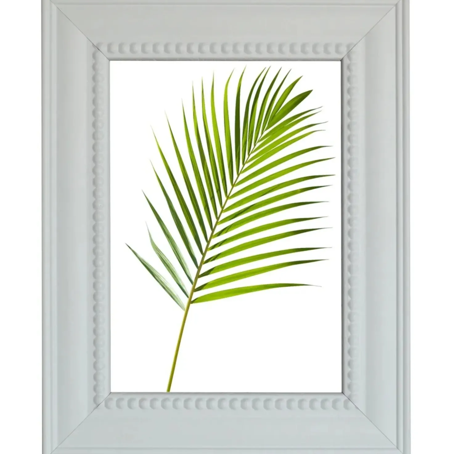 Cornice da muro Riso bianco 30x40 cm