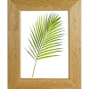 Cornice da muro Warren noce chiaro 30x40 cm