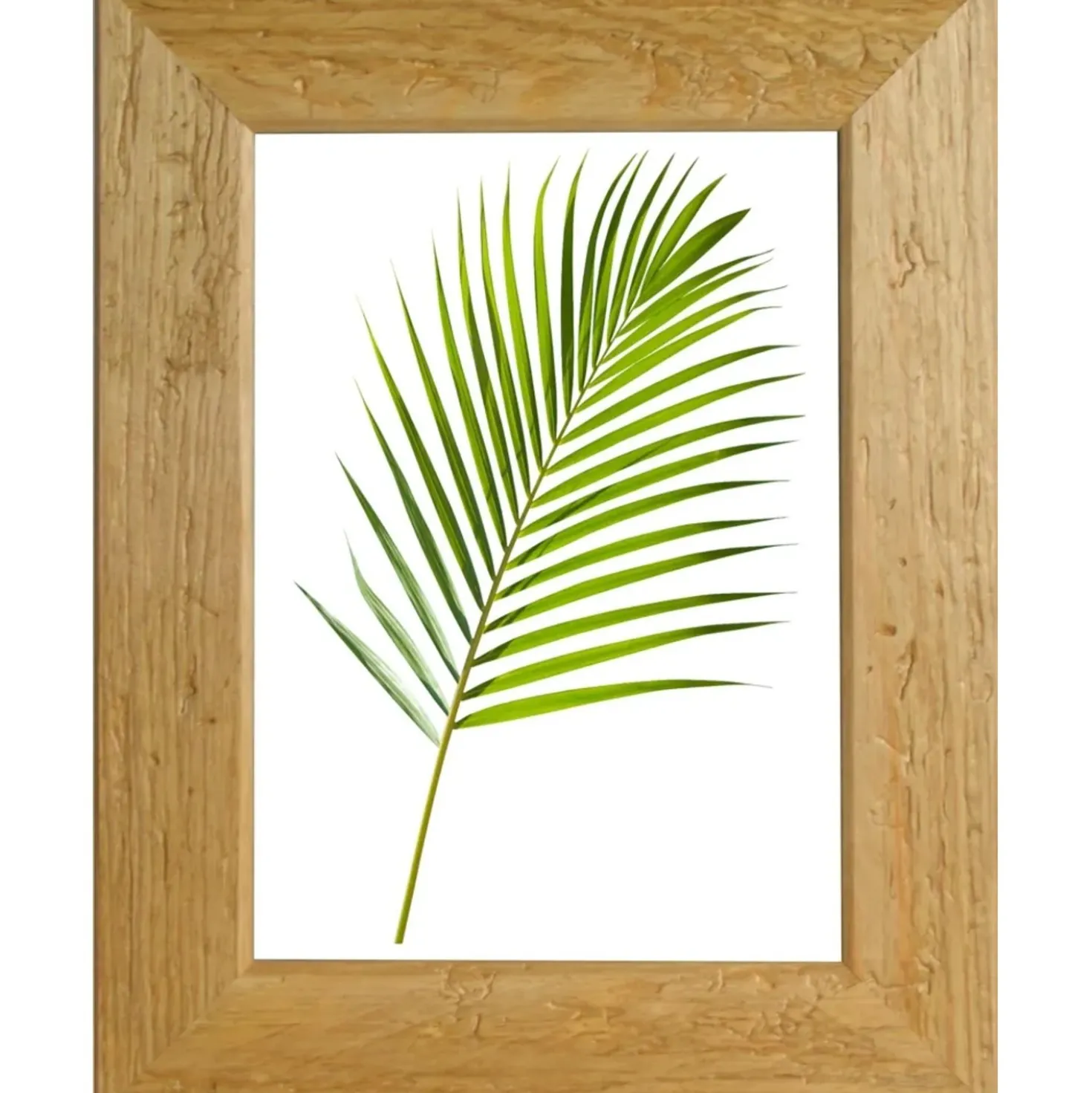 Cornice da muro Warren noce chiaro 30x40 cm