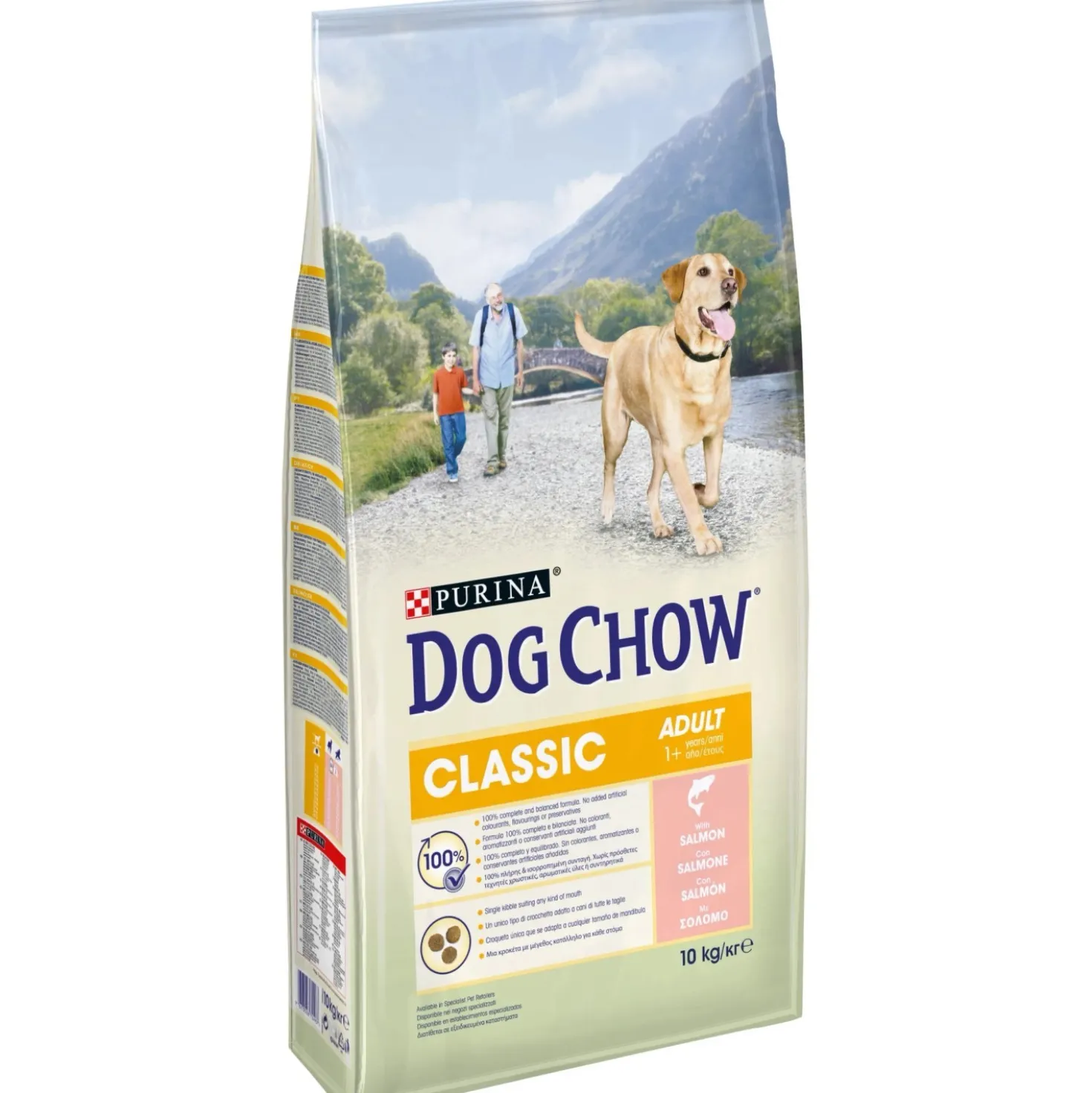 Crocchette per cani Purina Dog Chow adulto con salmone 10 kg