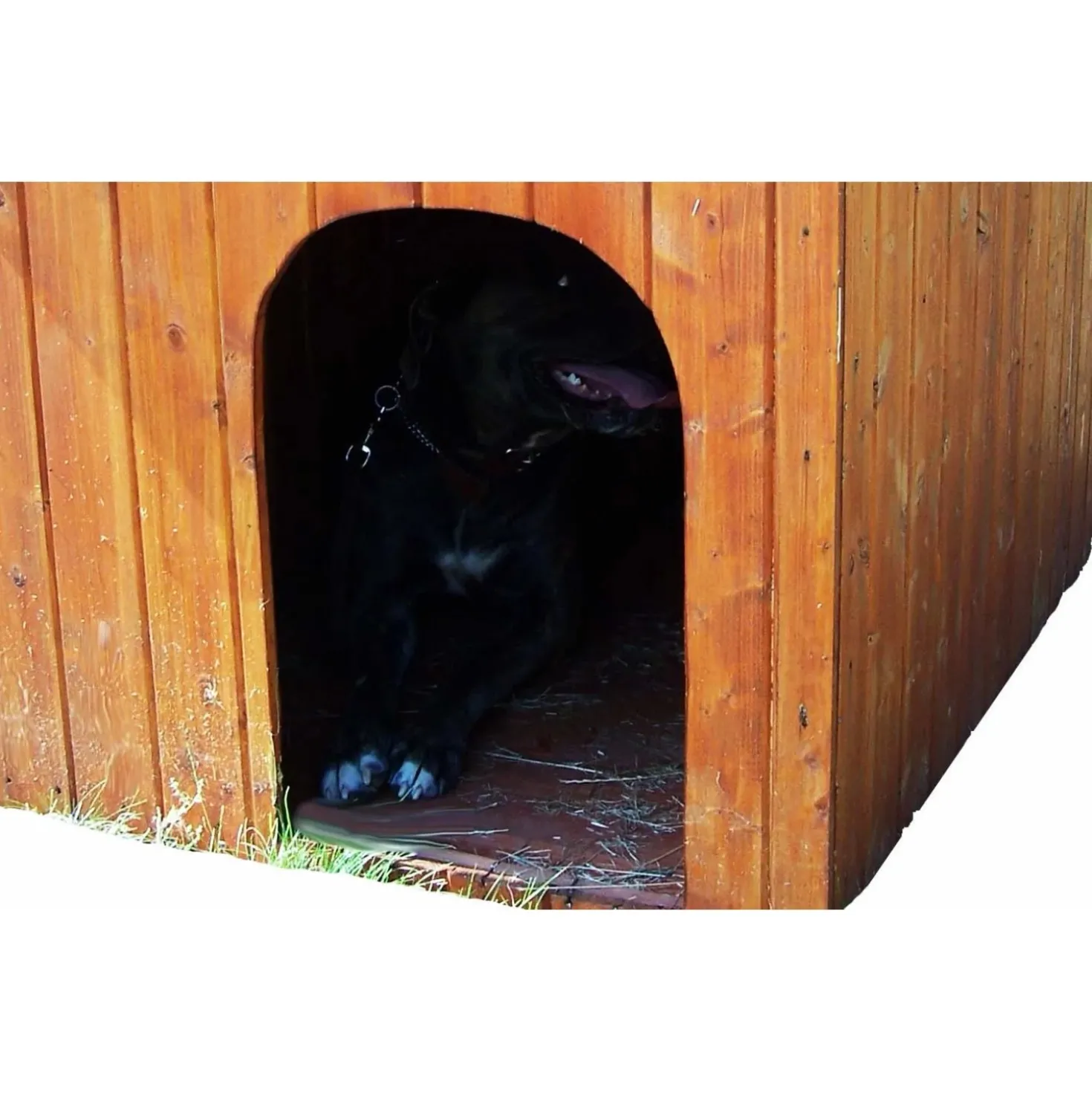 Cuccia per cani in legno tg grande 80x115 cm