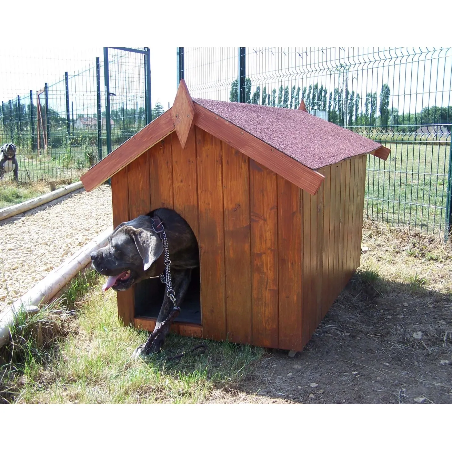 Cuccia per cani in legno tg piccola 60x98 cm