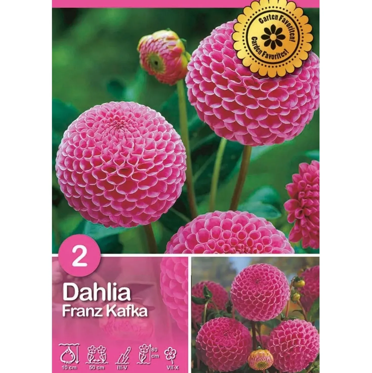 Dalia "Franz Kafka"