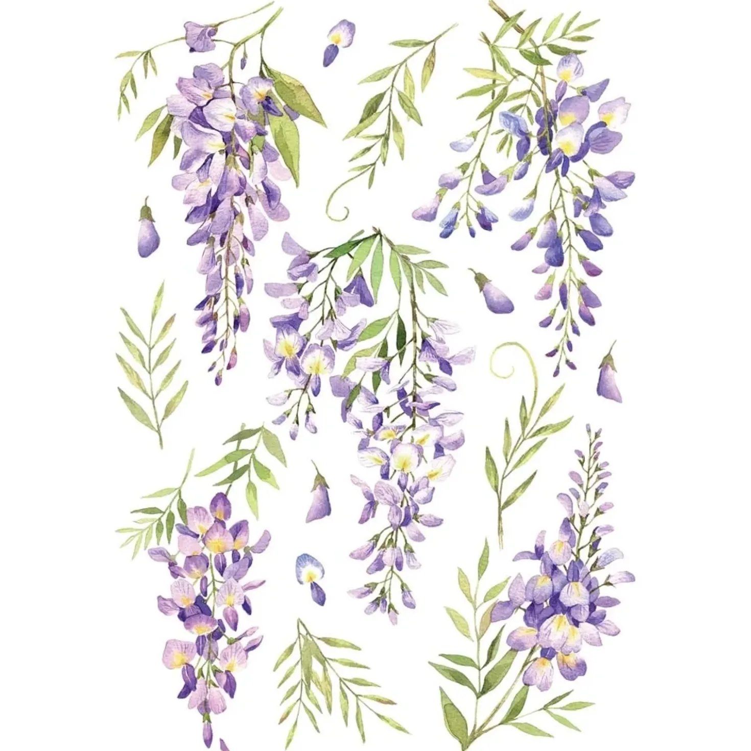 Decorazione adesiva per parete glicine 47x65 cm