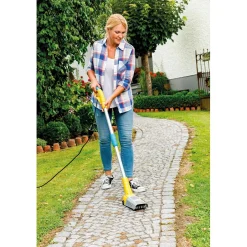 Diserbante Thermoflamm Biofix 1100 W