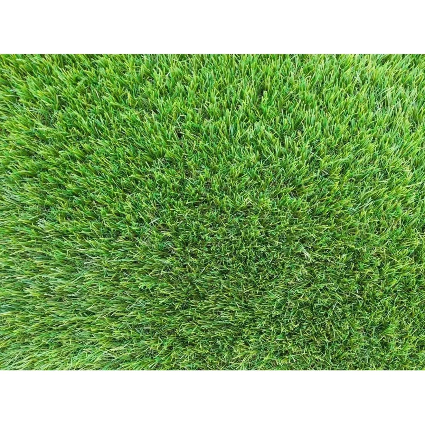 Erba sintetica sp. 35 mm 200x500x3,7 cm