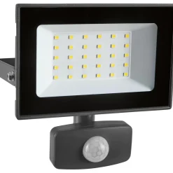 Faretto LED 30 W con sensore Grigio