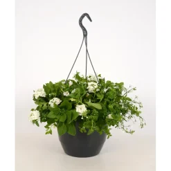 Fiori da appendere mix vaso Ø 27 cm