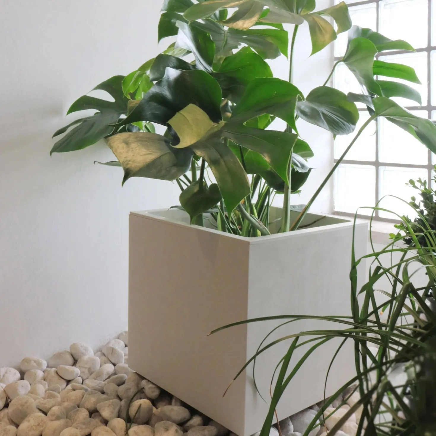 Fioriera da esterno Deroma Cubo Millennium materiale sintetico bianco 25x25 cm