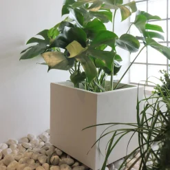 Fioriera da esterno Deroma Cubo Millennium in plastica bianco perla 39x39x39 cm