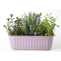 Fioriera da esterno Etika in plastica lavanda 49x18x15 cm