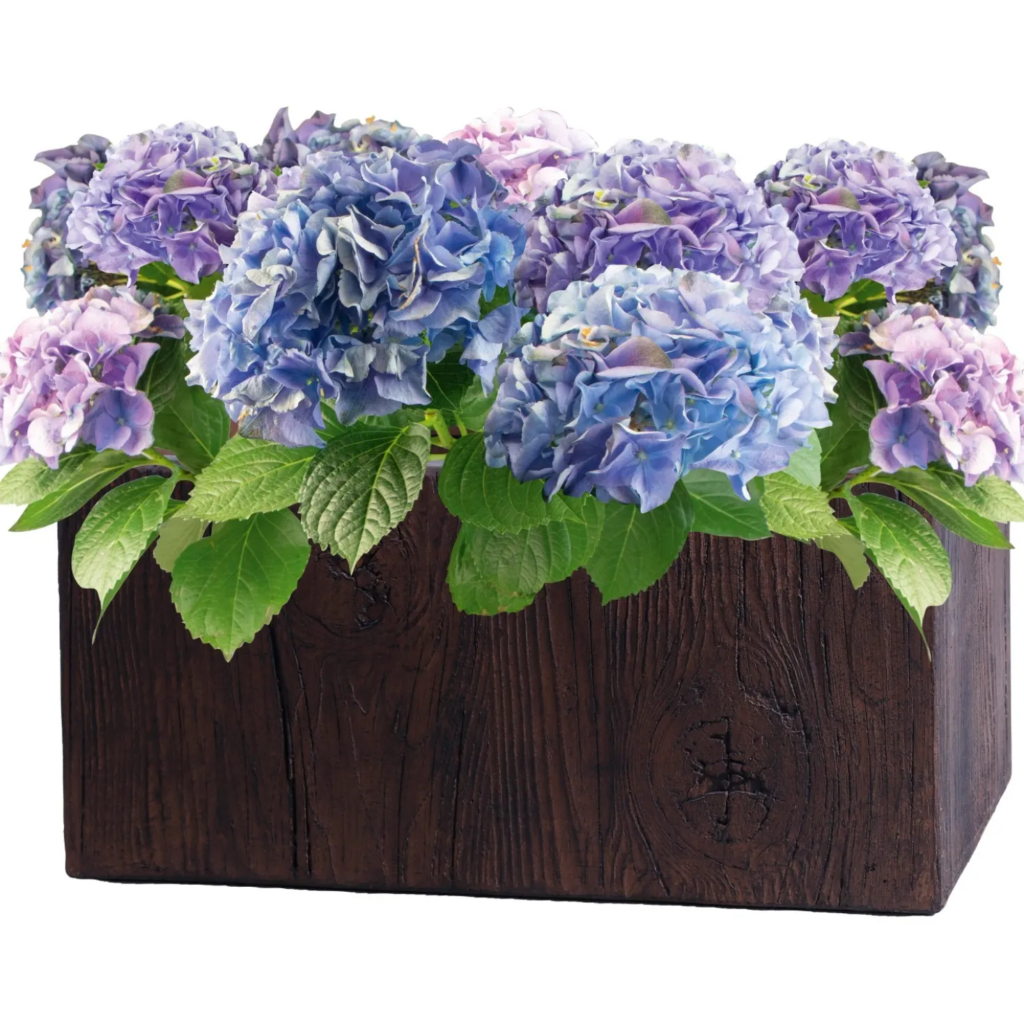 Fioriera da esterno in fiberclay effetto legno marrone sc 21x49,5 cm
