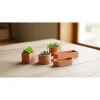 Fioriera da esterno Mignon in terracotta terracotta 6x25x8,5 cm