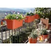 Fioriera regolabile in plastica Rondine 50x20x18,5 cm