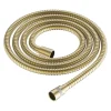 Flessibile doccia acciaio Idrostile 150 cm oro spazzolato