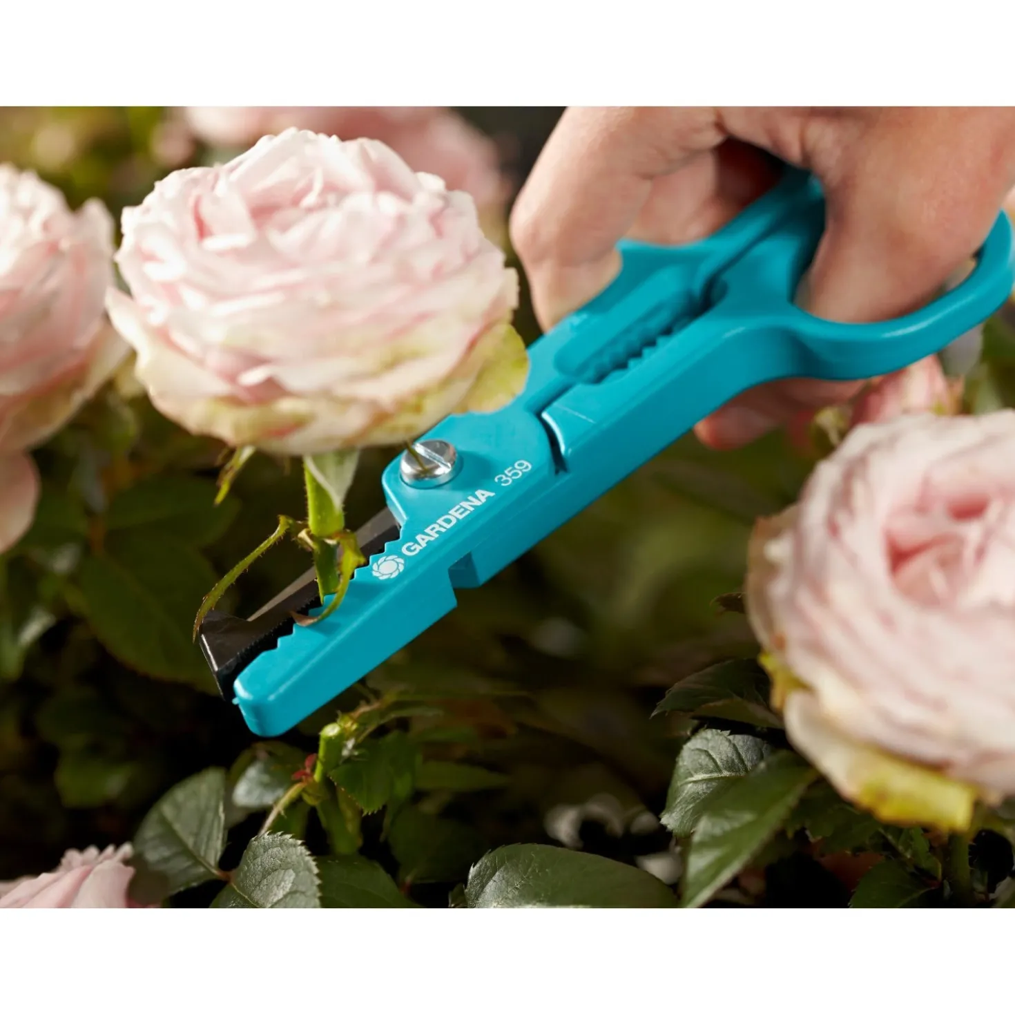 Forbici da presa Gardena per rose