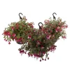 Fuchsiavasoda Append.Mix Vaso 21 cm