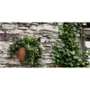 Gerla in terracotta rigata 25 cm