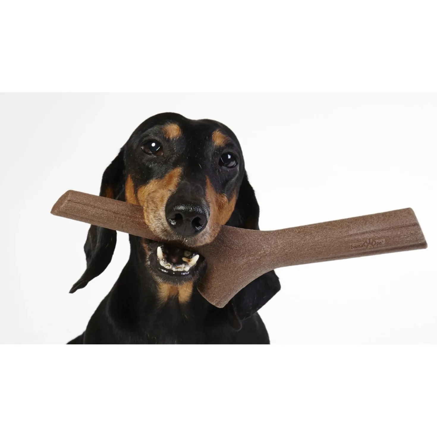 Gioco per cani atossico Tuttomio Mini 8x2,5x25 cm