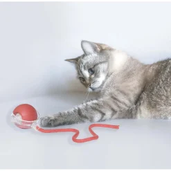Gioco per gatti Catch Me pallina con cordino rosso ricaricabile
