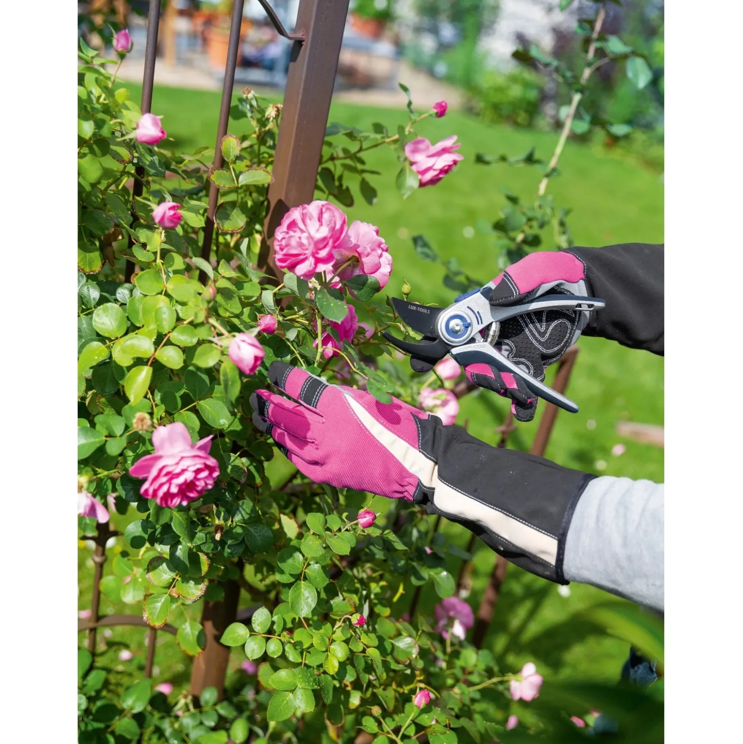 Guanti da giardinaggio anti spine touch screen taglia 8 fucsia