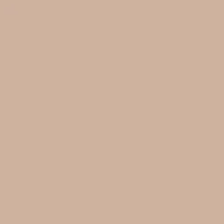 Idropittura colorata Beige 2,5 l