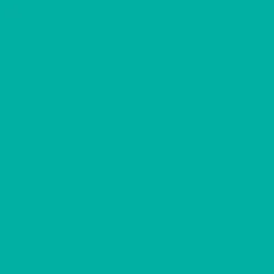 Idropittura colorata Verde scuro 2,5 l