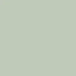 Idropittura colorata Verde 2,5 l