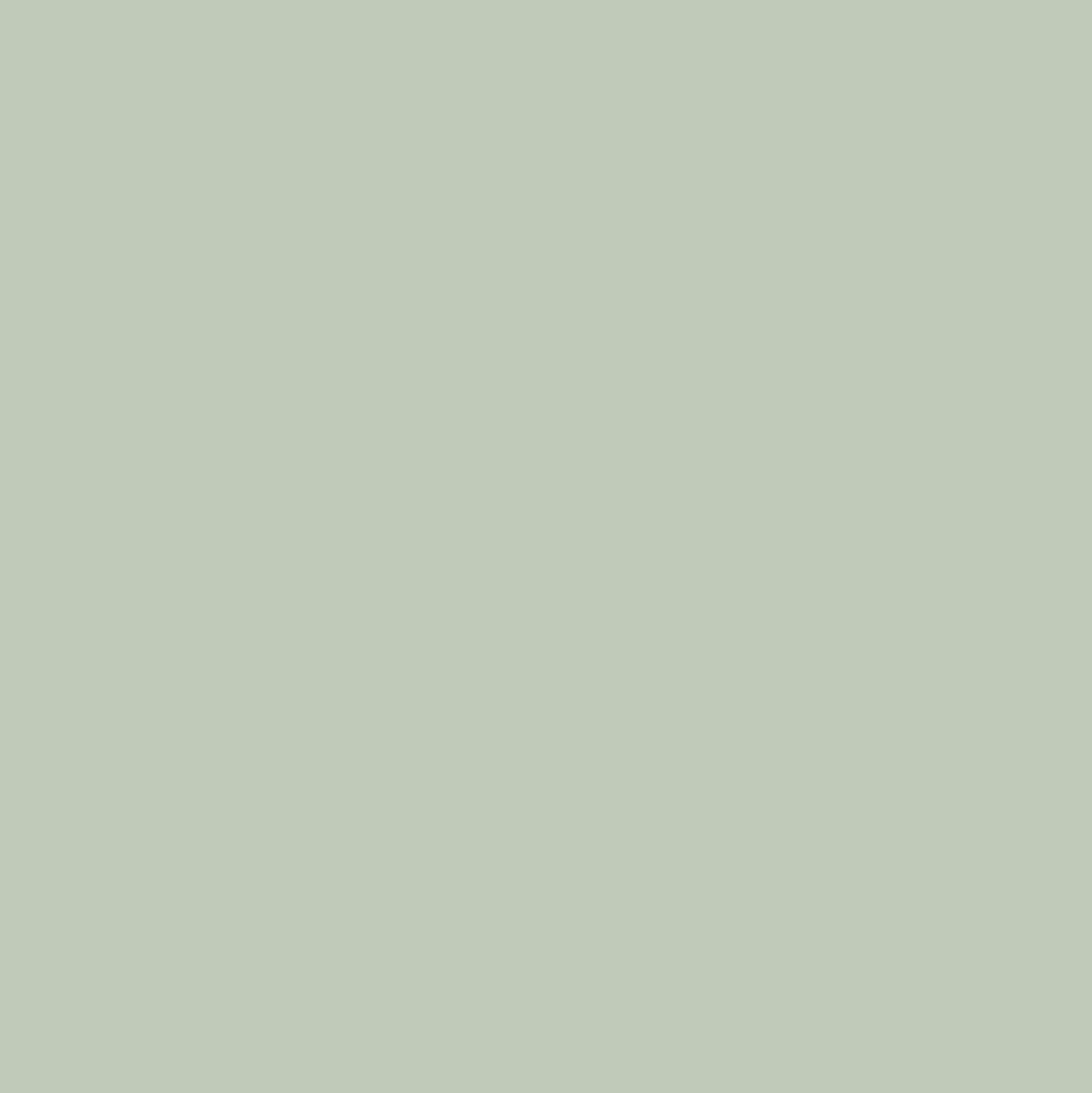 Idropittura colorata Verde 2,5 l