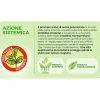 Insetticida Sanium Protect Garden AL PFnPO 800 ml