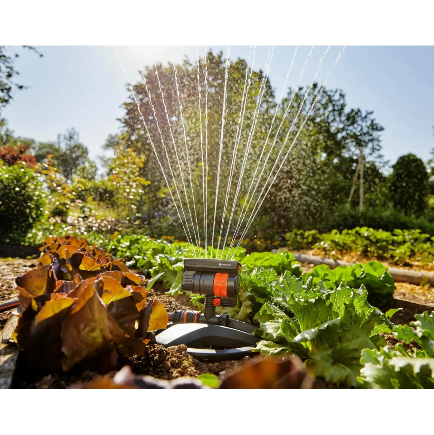 Irrigatore oscillante Gardena AquaZoom compact superficie regolabile 9-216 m²