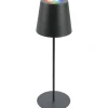 Lampada da tavolo LED Kiki 200 lm RGB+W Ø 10,5 x 36 cm antracite