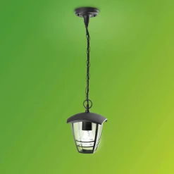 Lampada lanterna a sospensione Creek nero 60 W Philips