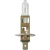 Lampadina Bosch GLL Pure Light H1