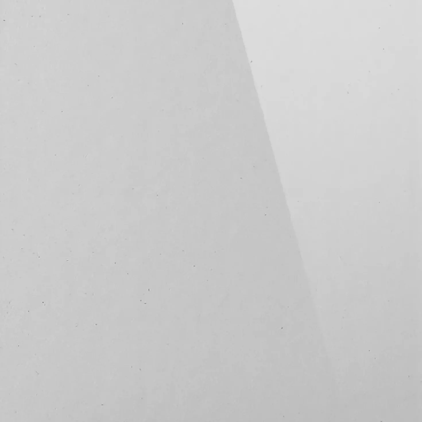 Lato fisso per doccia Platz 80 cm H 190 cm bianco e sintetico