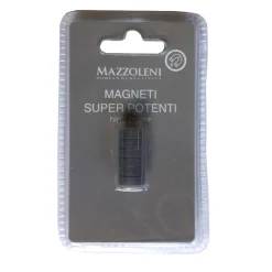 Magneti in ferrite Ø 12x4 mm 6 pz