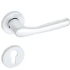 Maniglia Bica alluminio con rosette e bocchette Yale argento