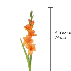 Mini Gladiolo 74 cm