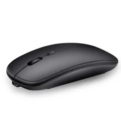 Mouse Wireless Dual 2.4G Bijoux Smart Home ricaricabile con mini ricevitore