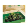 OBI tavolette di coltura Ø 3,5 cm 20 pz