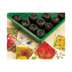 OBI tavolette di coltura Ø 3,5 cm 20 pz