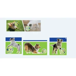 Palla per cani sonora Doggies Ball