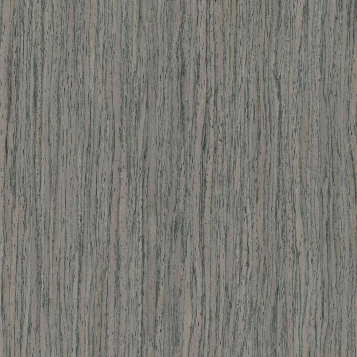 Pannello fonoassorbente decorativo rovere grigio grezzo 240x57,2 cm Sp. 19 mm