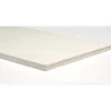 Pannello pioppo multistrato 5x1200x300 mm legno chiaro