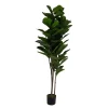 Pianta artificiale in plastica Ficus h180 cm