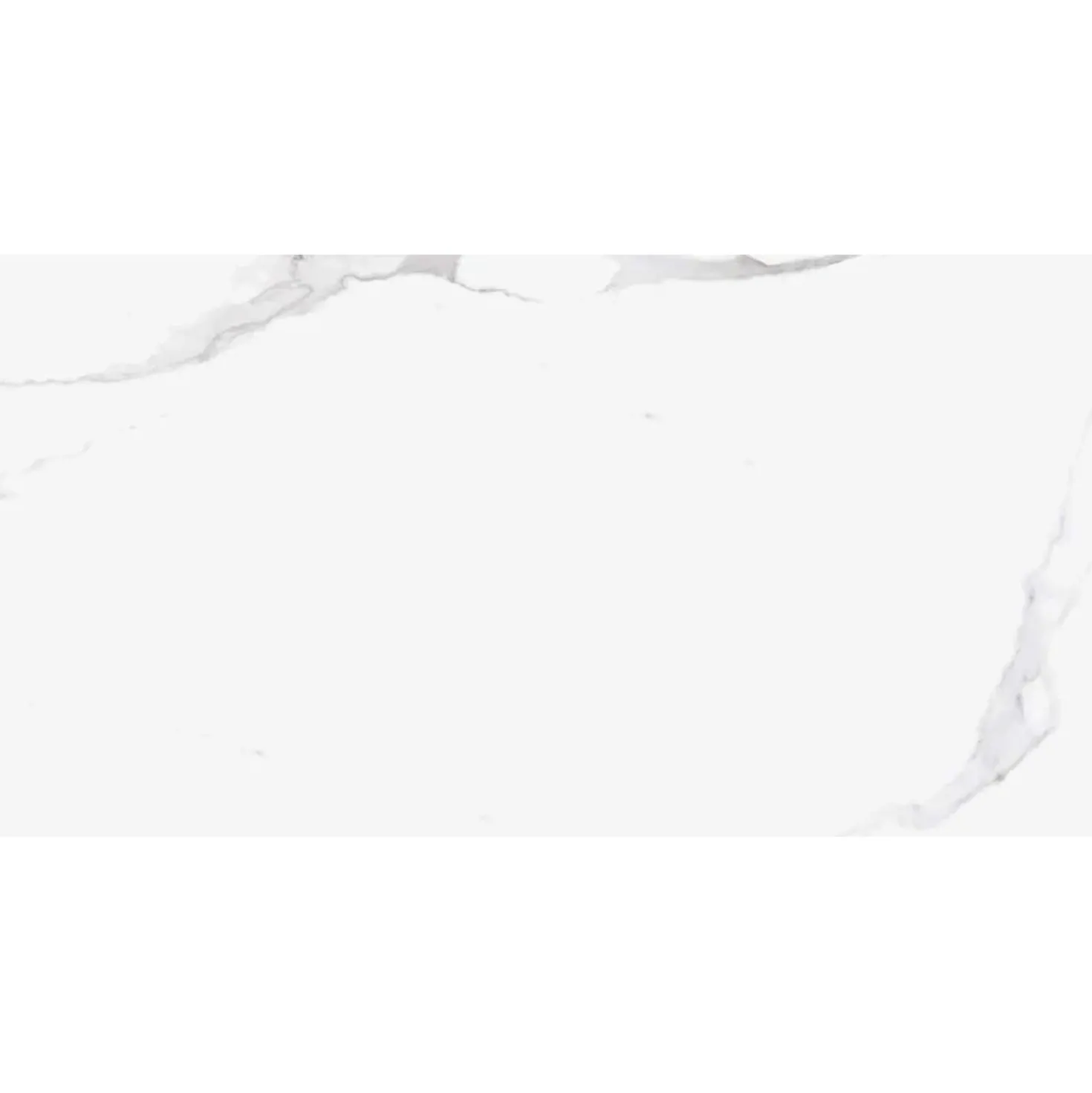 Piastrella in gres porcellanato venato grigio 60x120 cm