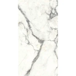 Piastrella in gres porcellanato Charisma pietra soft grey 60x120 cm 1,44 m²
